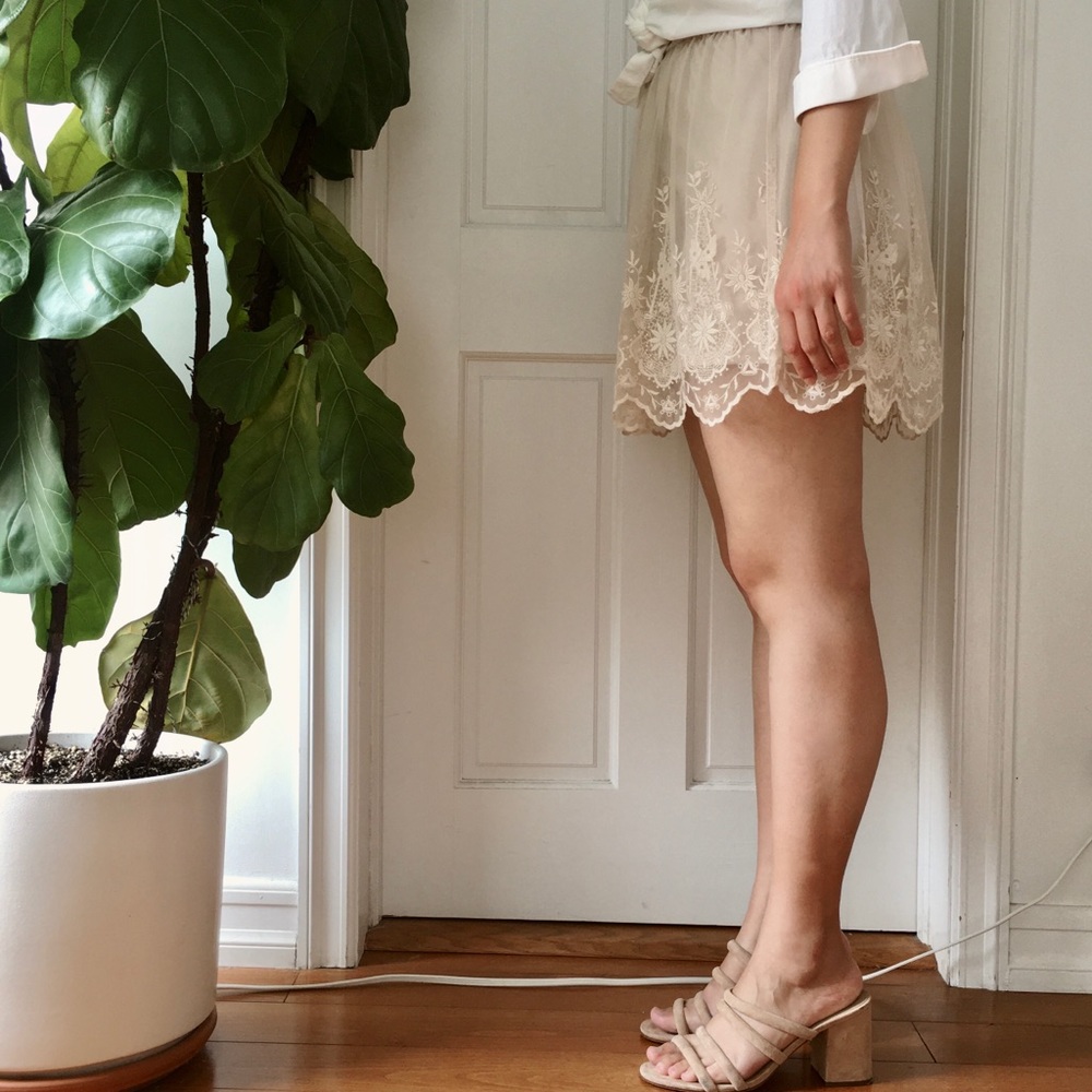 Blush Lace Skirt